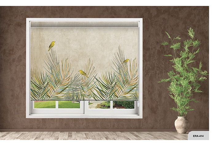 Collection 6 - Image