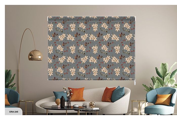 Collection 3 - Image