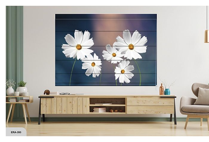 Collection 6 - Image