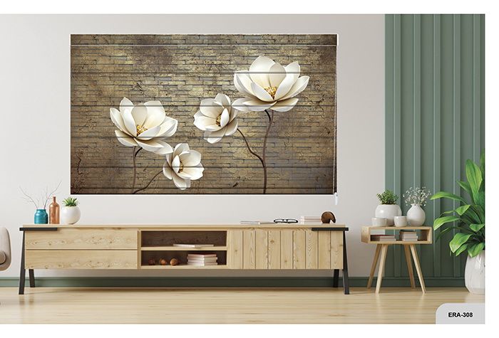 Collection 4 - Image