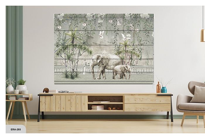 Collection 4 - Image