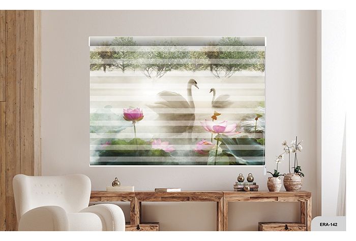 Collection 1 - Image