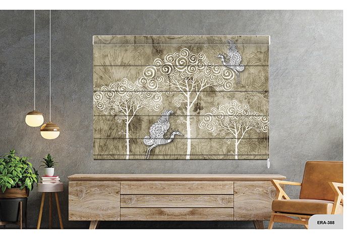 Collection 6 - Image