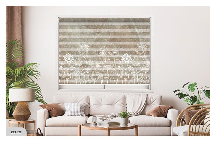 Collection 3 - Image