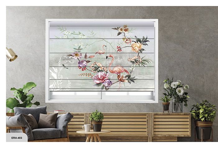 Collection 6 - Image