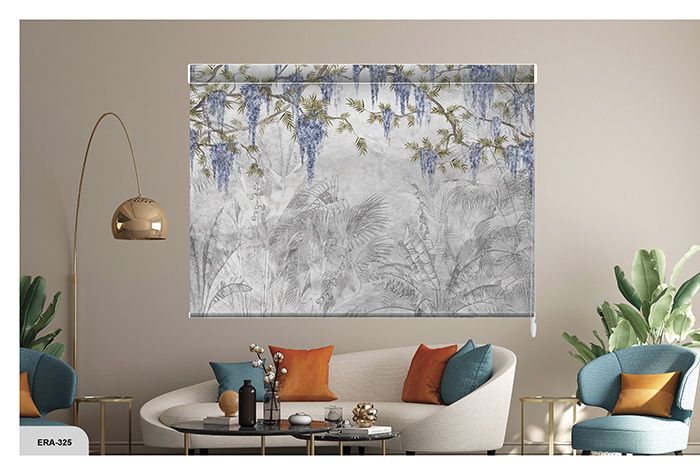 Collection 5 - Image