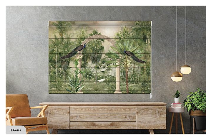 Collection 2 - Image