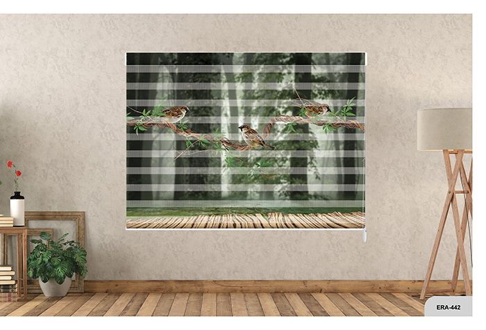 Collection 7 - Image