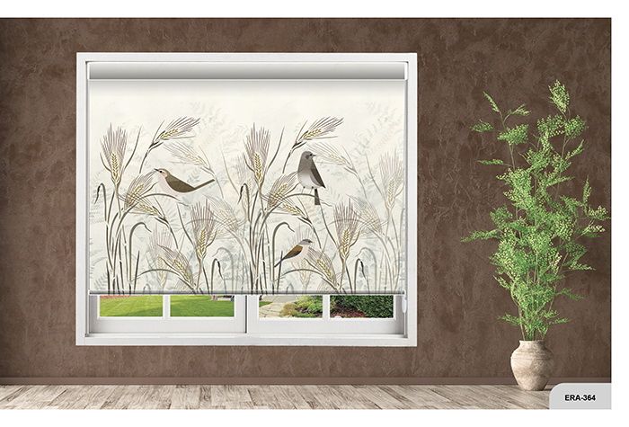 Collection 5 - Image