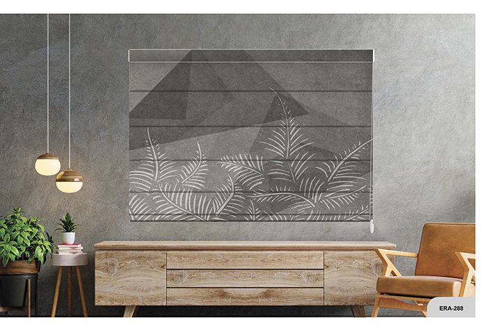 Collection 4 - Image