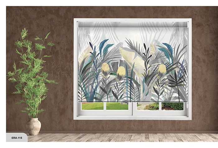 Collection 1 - Image