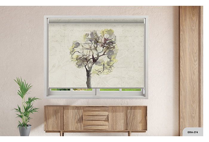 Collection 6 - Image