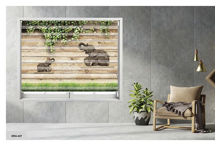 Collection 7 - Image