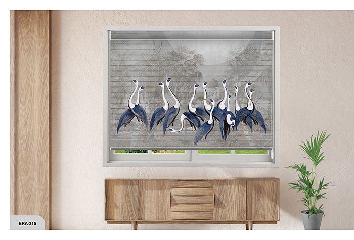 Collection 4 - Image