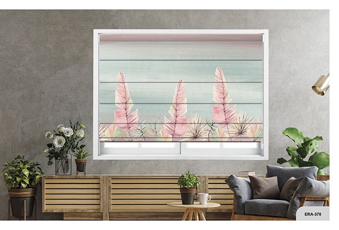 Collection 6 - Image