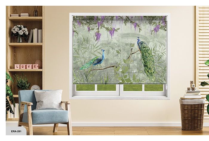 Collection 4 - Image