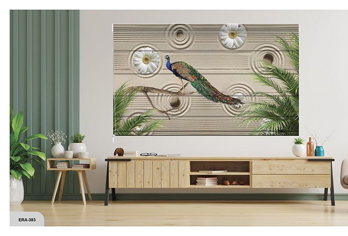 Collection 6 - Image