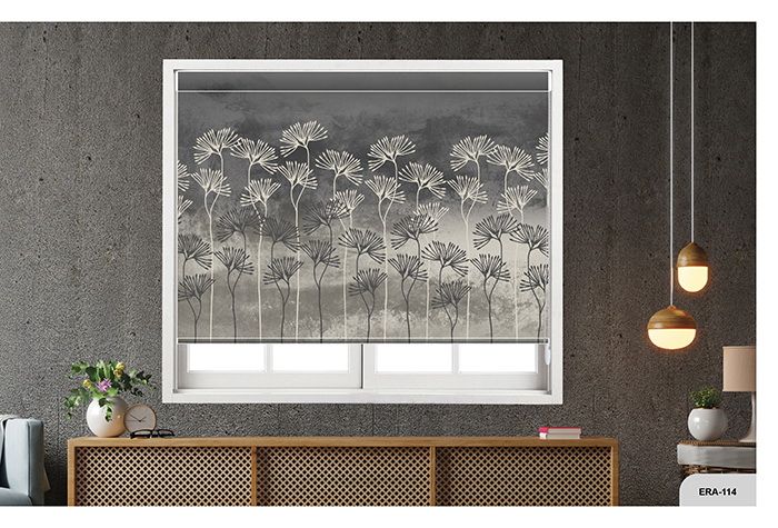 Collection 1 - Image