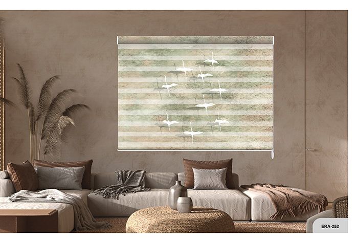 Collection 3 - Image