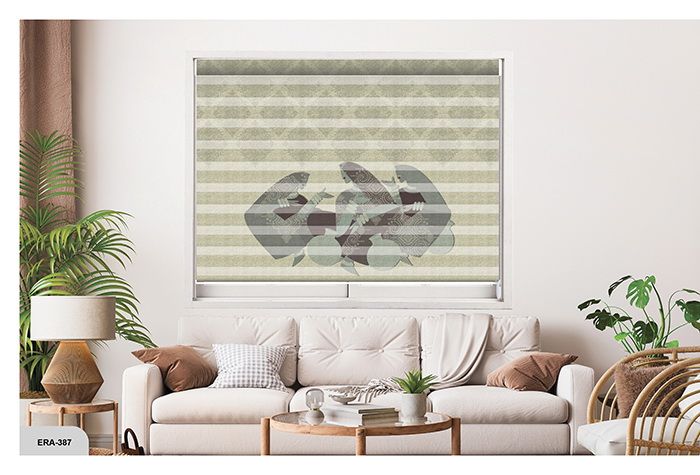 Collection 6 - Image