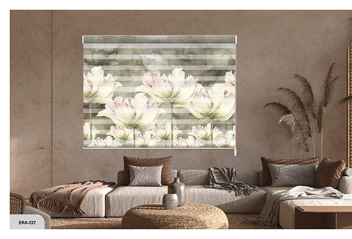 Collection 3 - Image