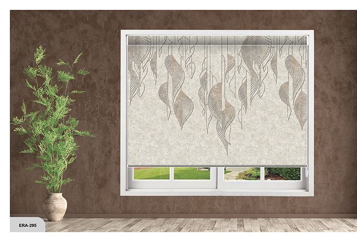 Collection 4 - Image