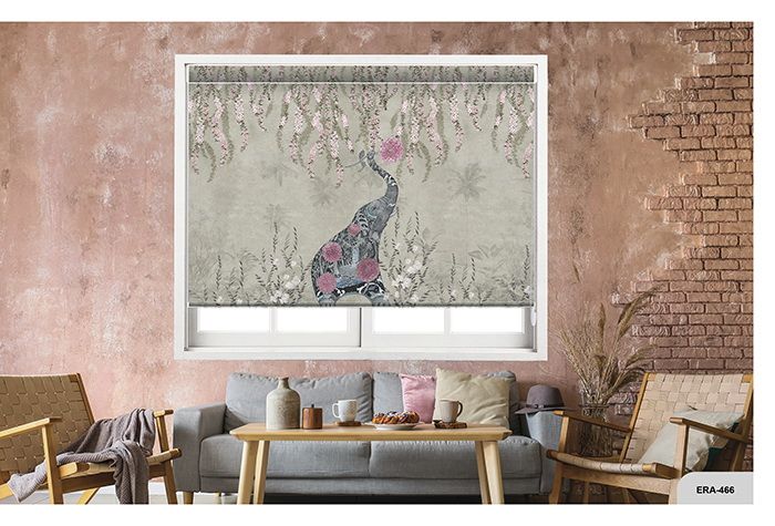 Collection 7 - Image