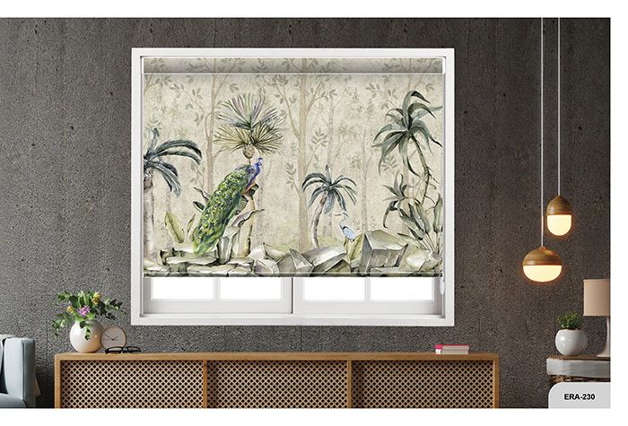 Collection 3 - Image