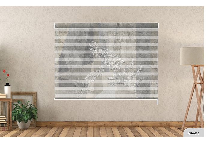 Collection 4 - Image