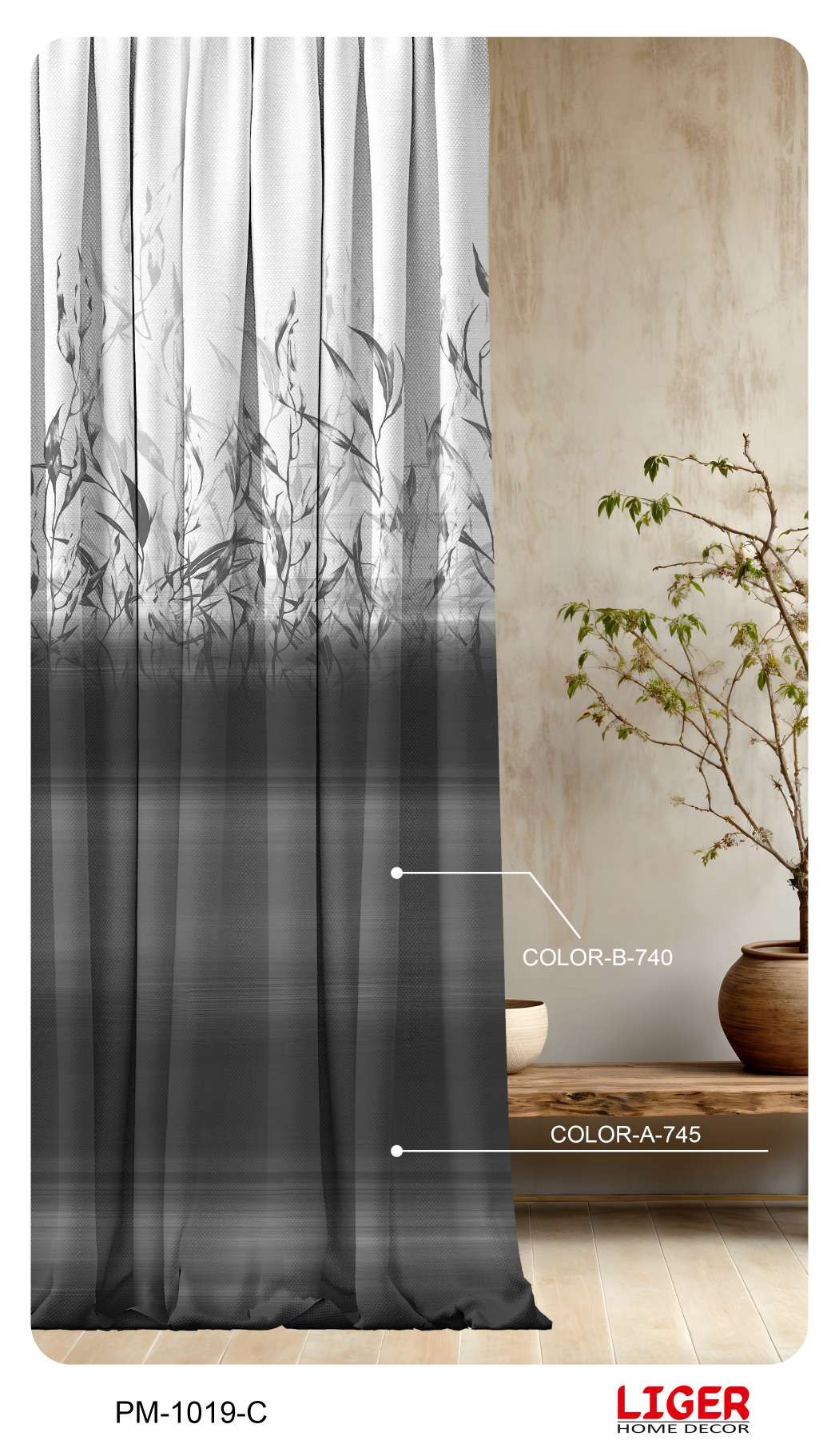 Collection 2 - Image