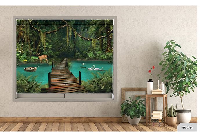 Collection 6 - Image