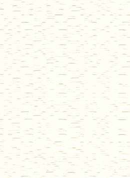 Ivory - Image