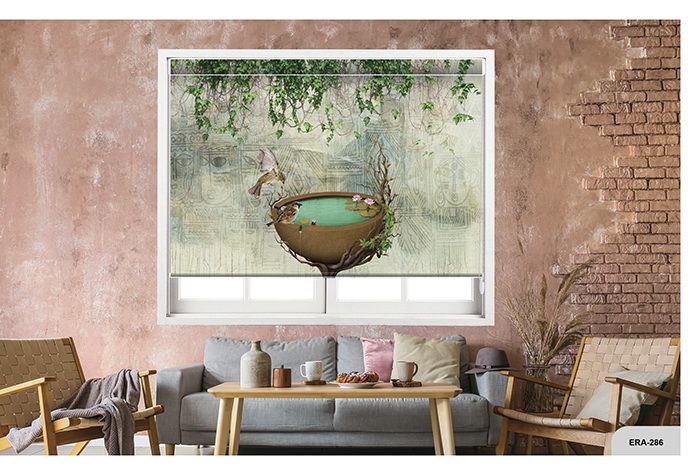 Collection 4 - Image