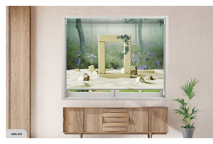 Collection 3 - Image