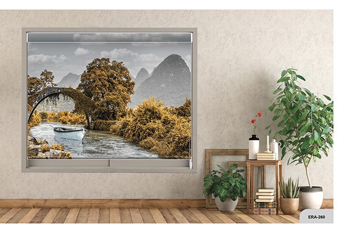 Collection 3 - Image