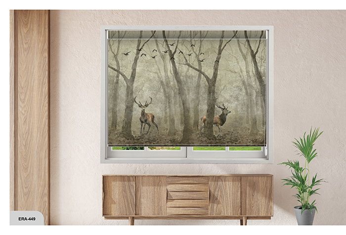 Collection 7 - Image