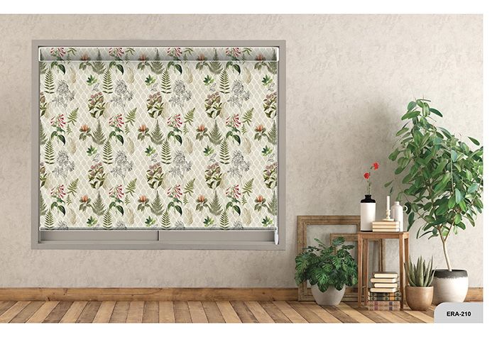 Collection 3 - Image