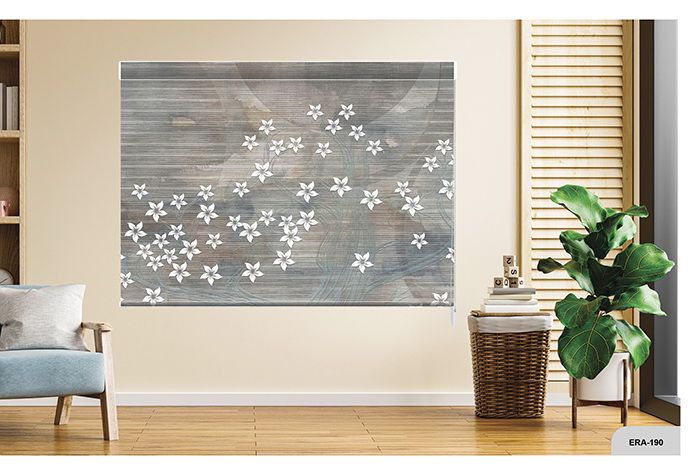 Collection 2 - Image