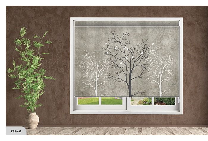 Collection 7 - Image