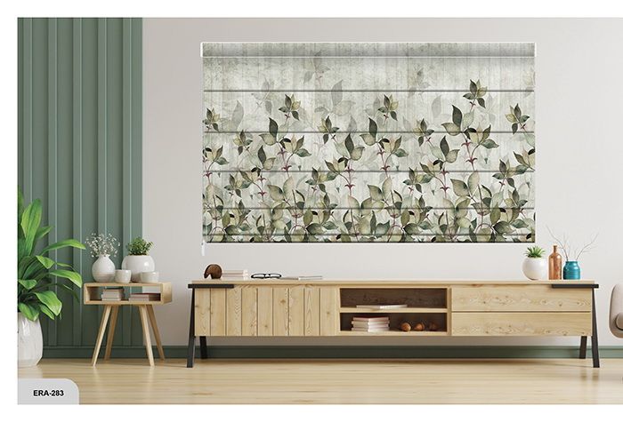 Collection 4 - Image