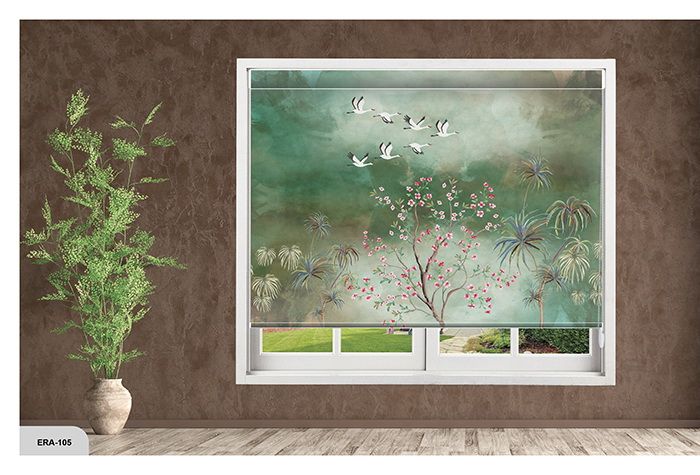 Collection 1 - Image