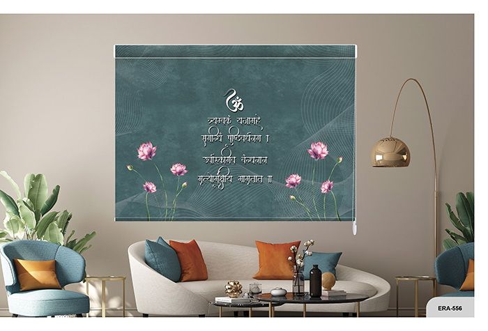 Collection 9 - Image