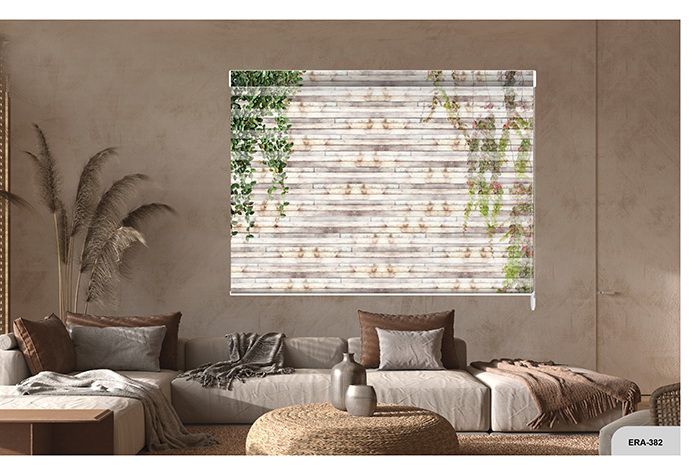 Collection 6 - Image