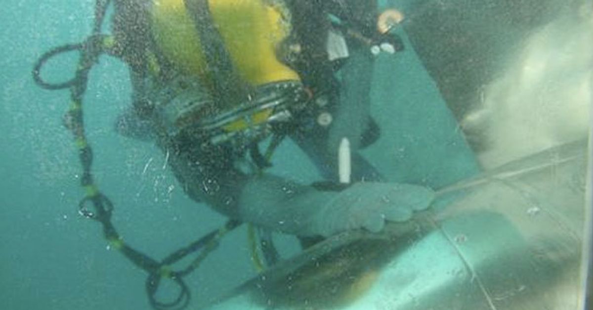 Ocean Testing Underwater Non-Destructive Testing - Vigor Marine Group - Vigor Marine ...