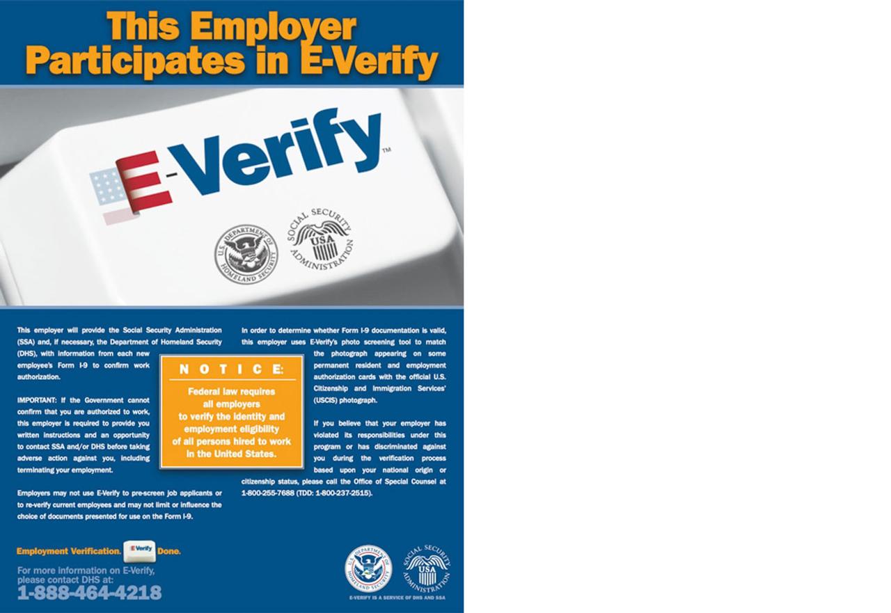 English E-Verify Poster
