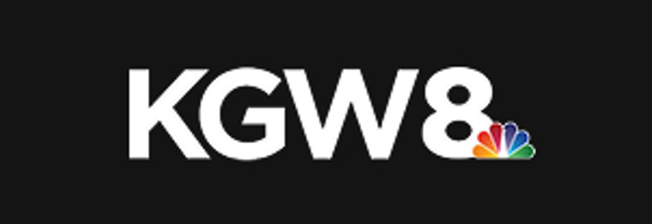 News Article Logo