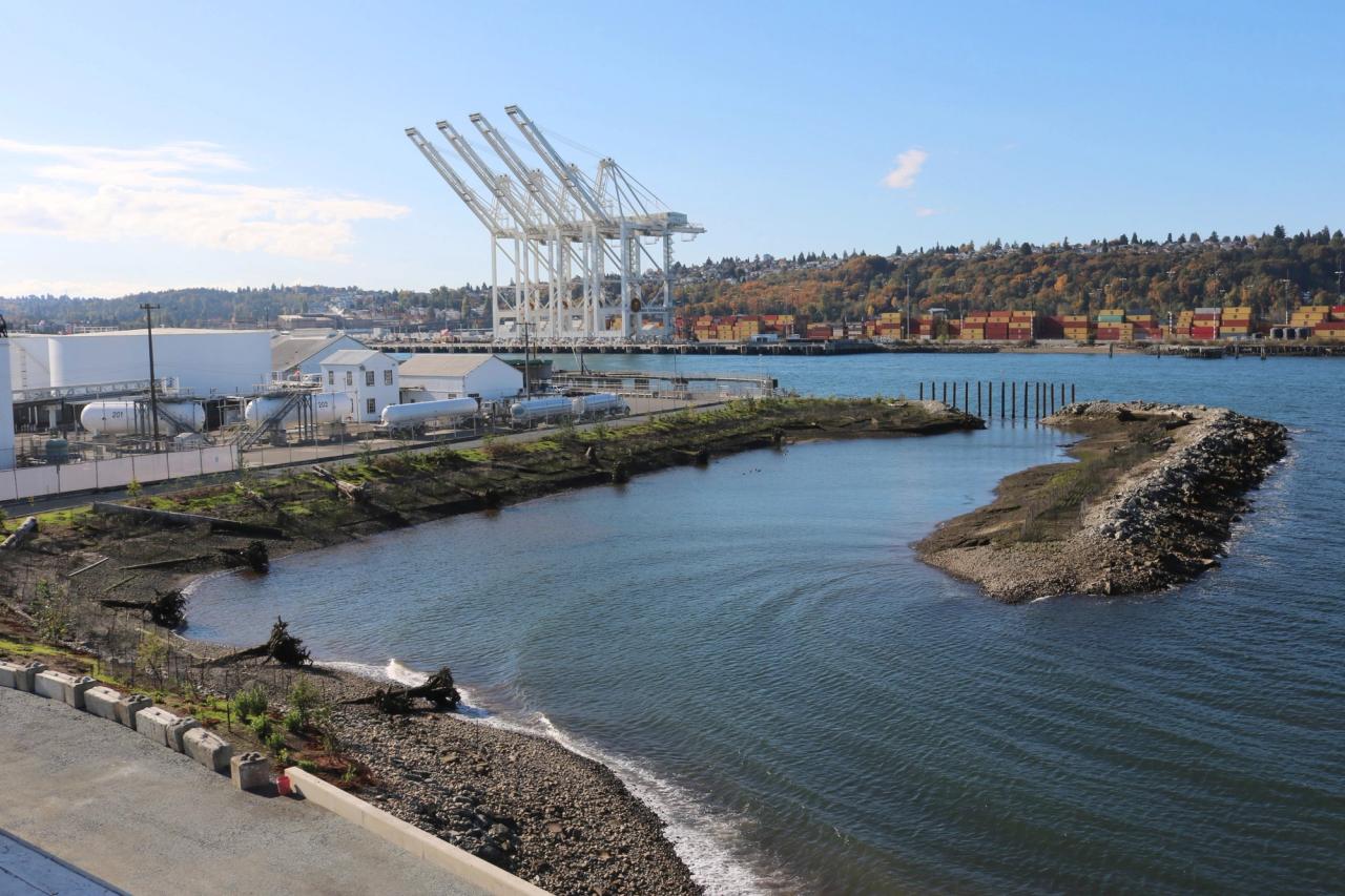 In the News: Seattle's new waterfront is alive — if you know where to look