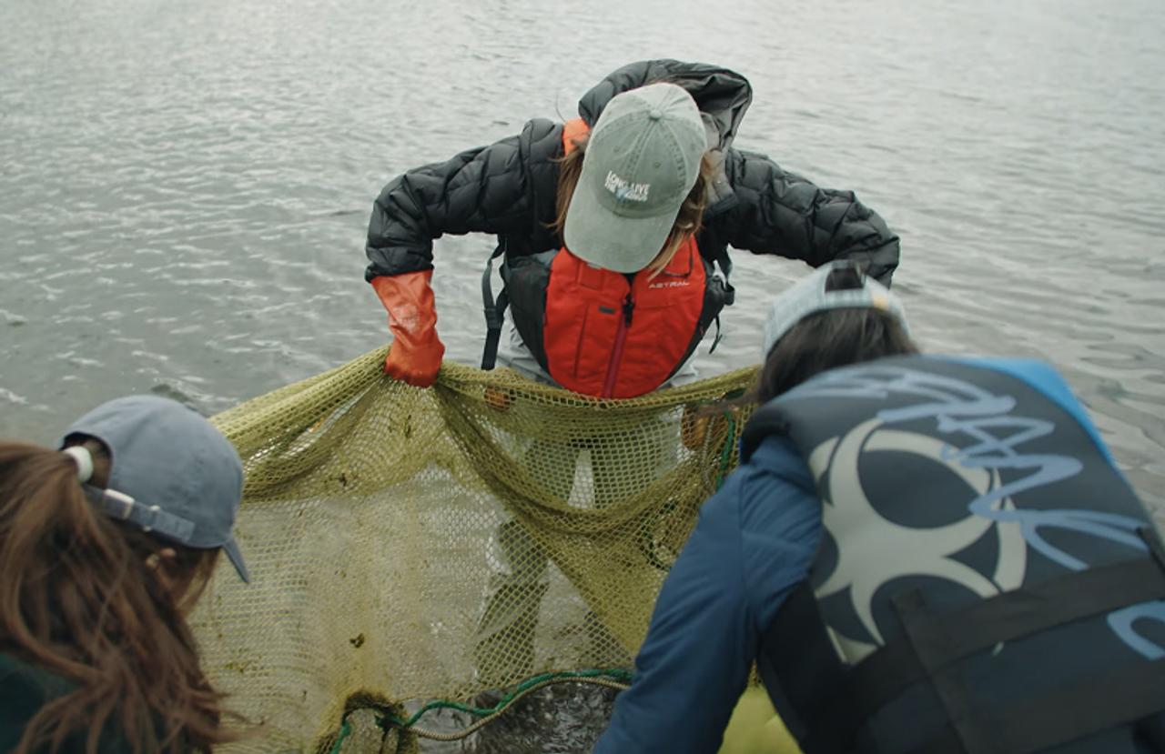 Working on a salmon habitat