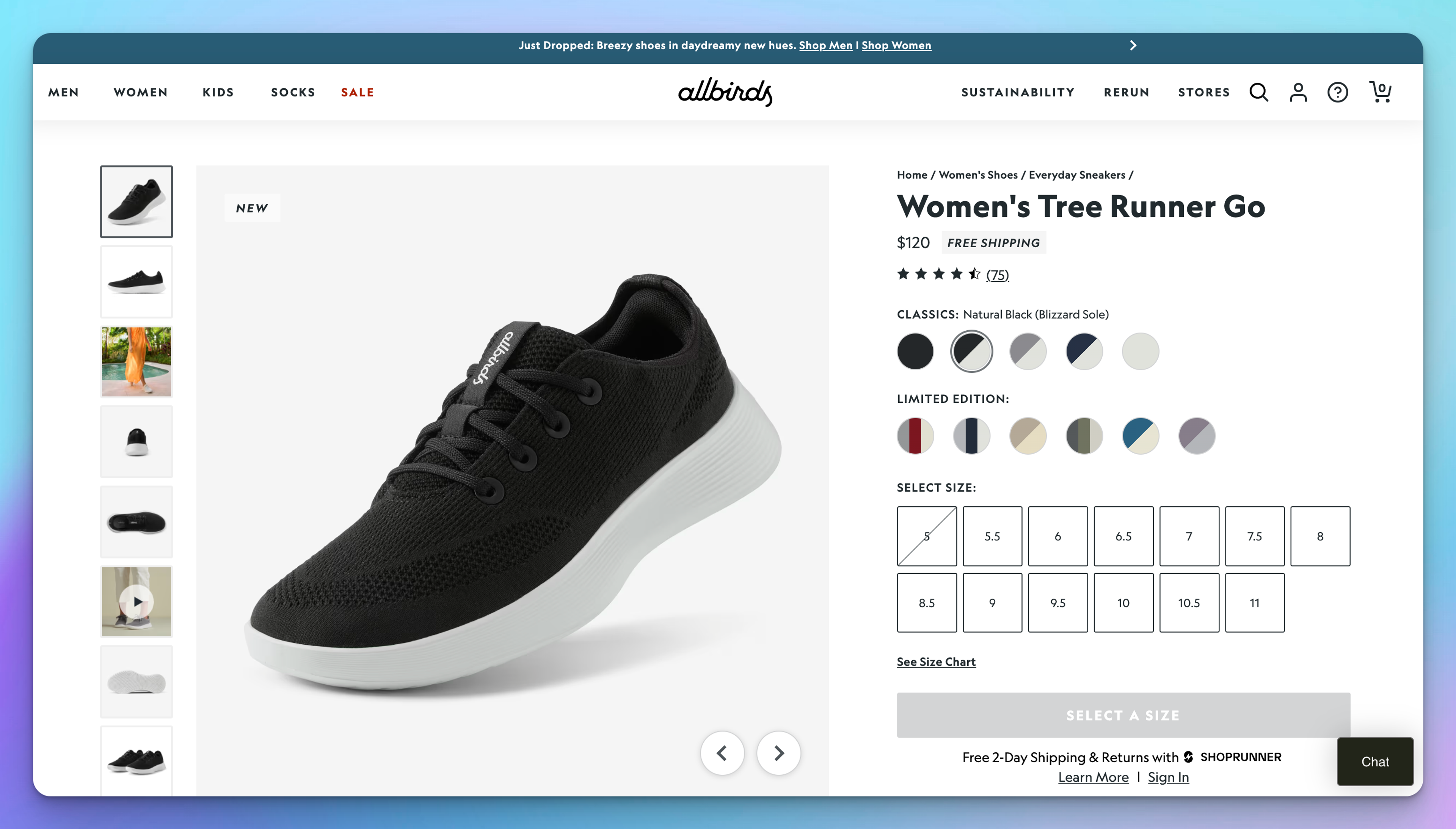 Allbirds Product Landing Page Example