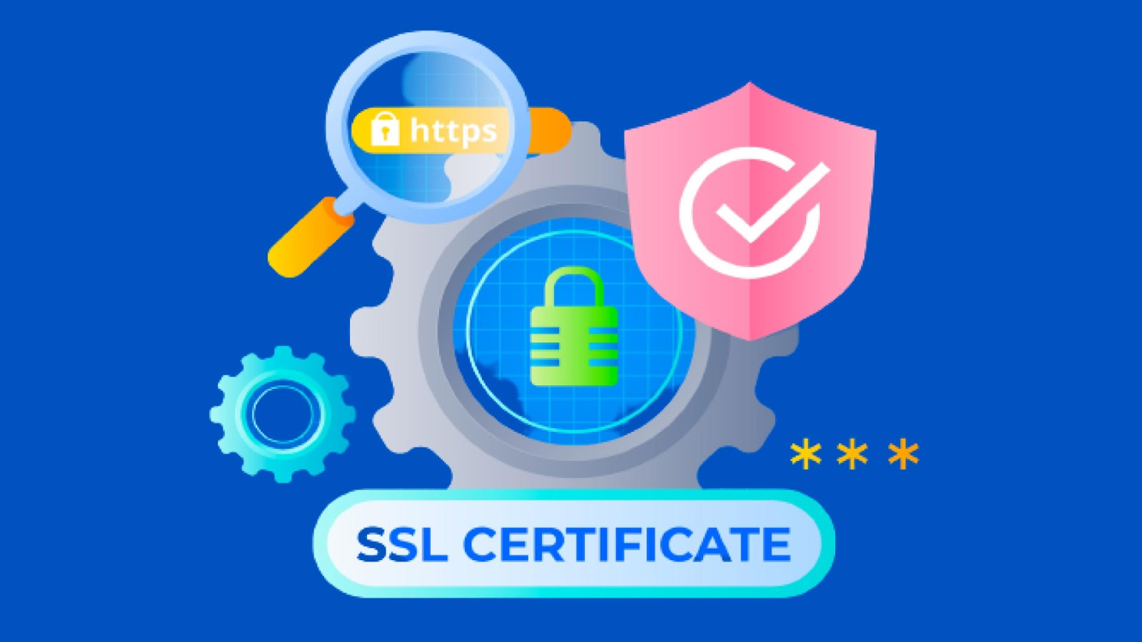 What Is an SSL Certificate?